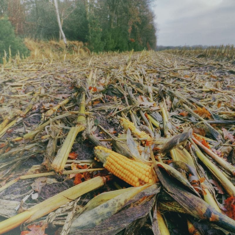 Agricultural waste