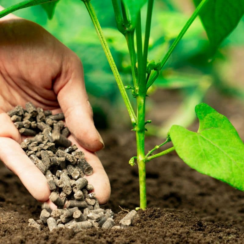 Global Fertilizer Industry Analysis