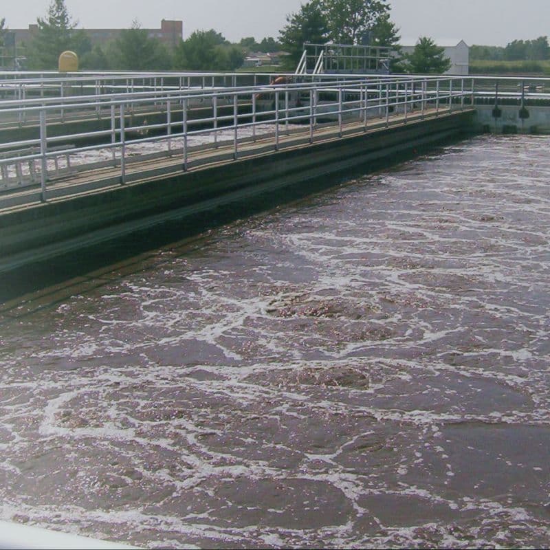 Paper mill wastewater