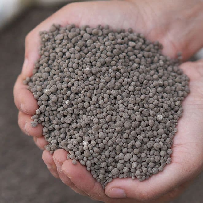 fertilizer pellets